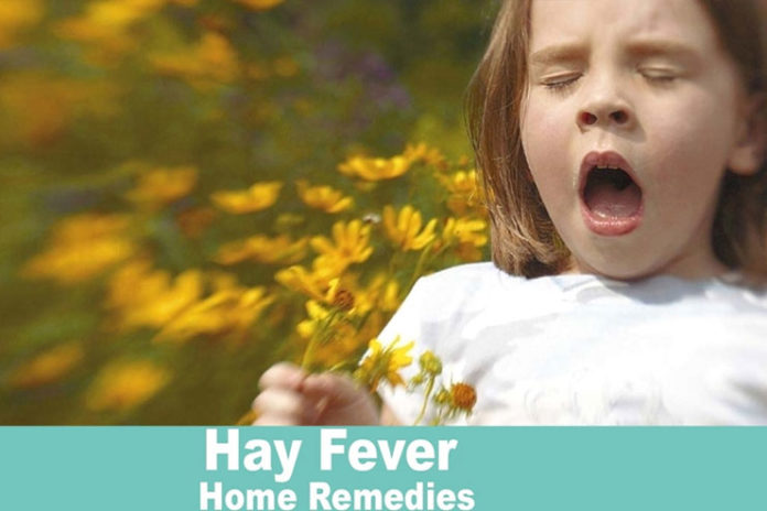 Remedies-For-Hay-Fever