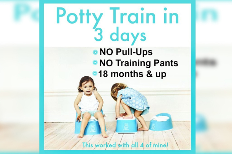 The 3-Day Potty Training Method for Kids and Toddlers
