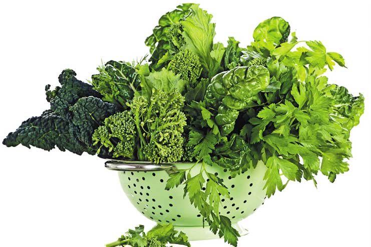 Green-Leafy-Vegetables
