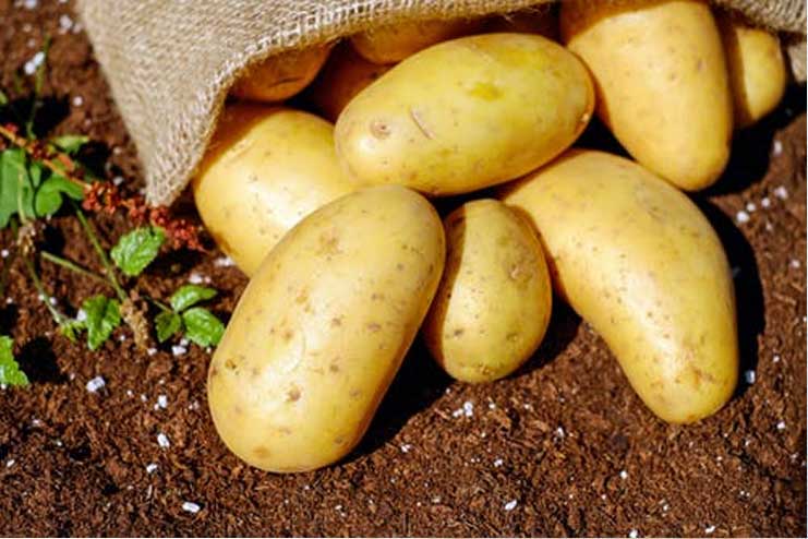 Raw-Potato