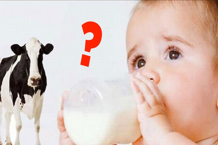 When should I introduce cows milk to my baby