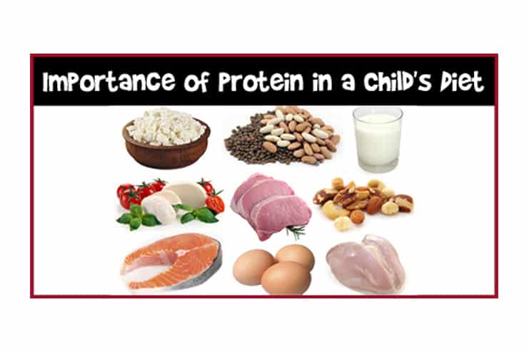 Why-Do-Kids-Need-Proteins