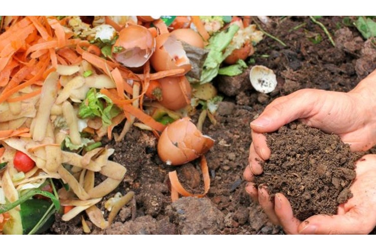 Turn-food-waste-into-compost